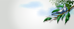 domain-registration-in-hyderabad